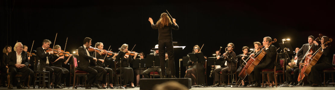 Divertimento – Ein Orchester für alle
