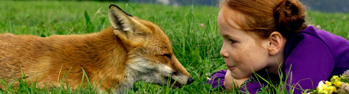 Der Fuchs und das Mädchen