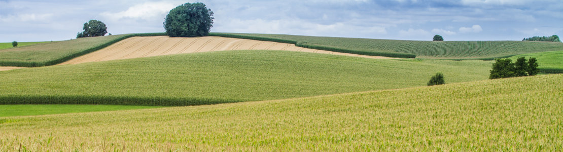 Heimat Natur