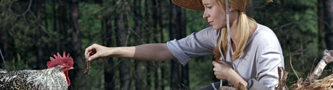 Wie heiratet man einen König